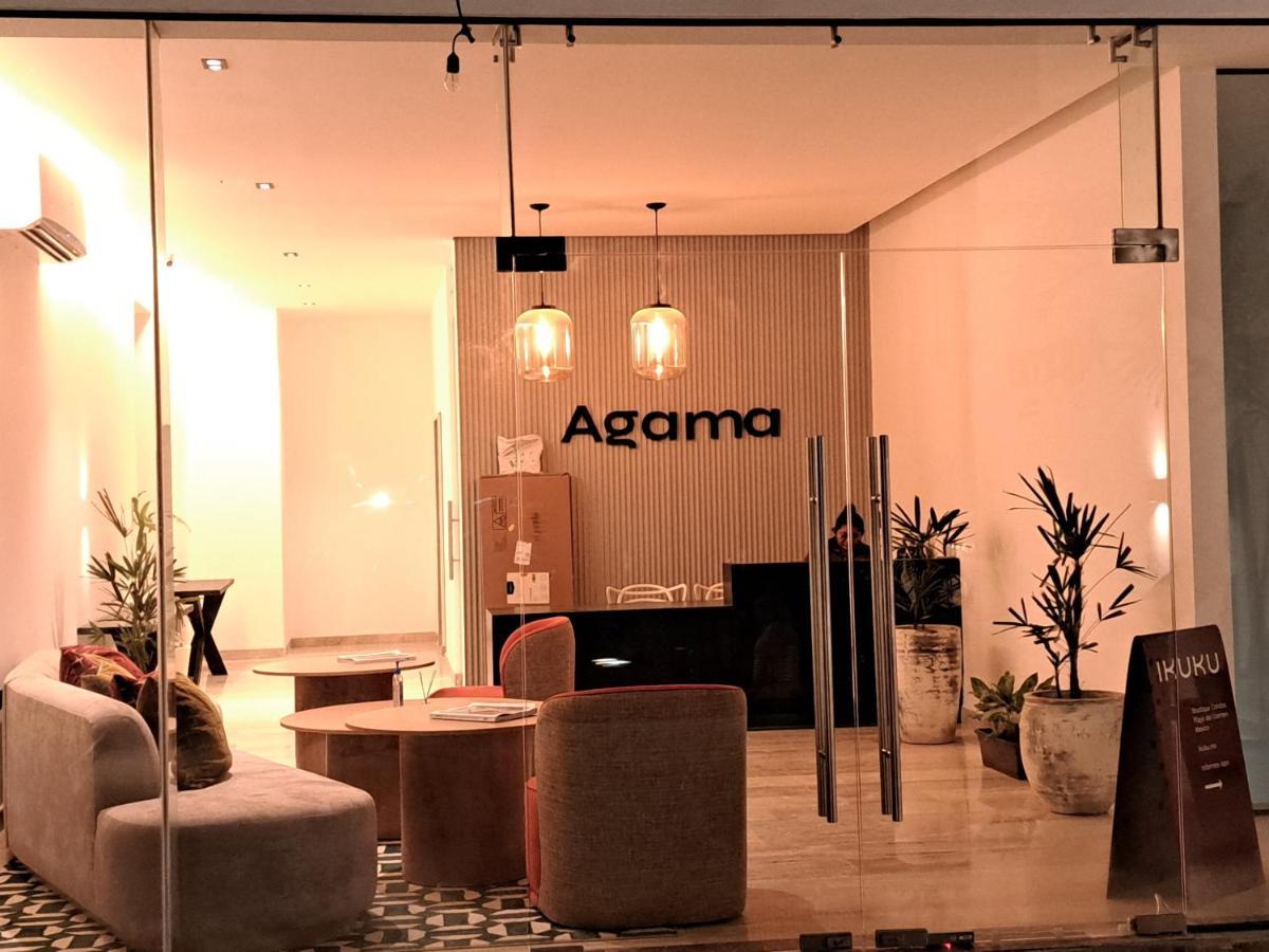 פלאייה דל כרמן Agama Condos מראה חיצוני תמונה